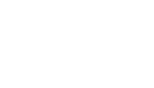 MEA